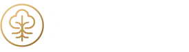 BirchStreet AI